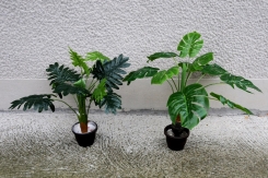 084 Veštačke biljke   